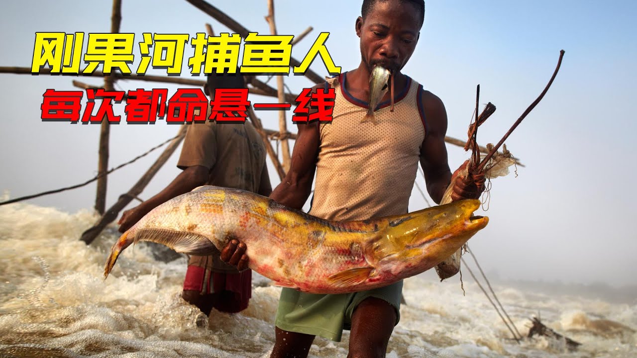 剛果河上搏命生存的捕魚人，用手編木籠捕虎魚，每次下河都命懸一線
