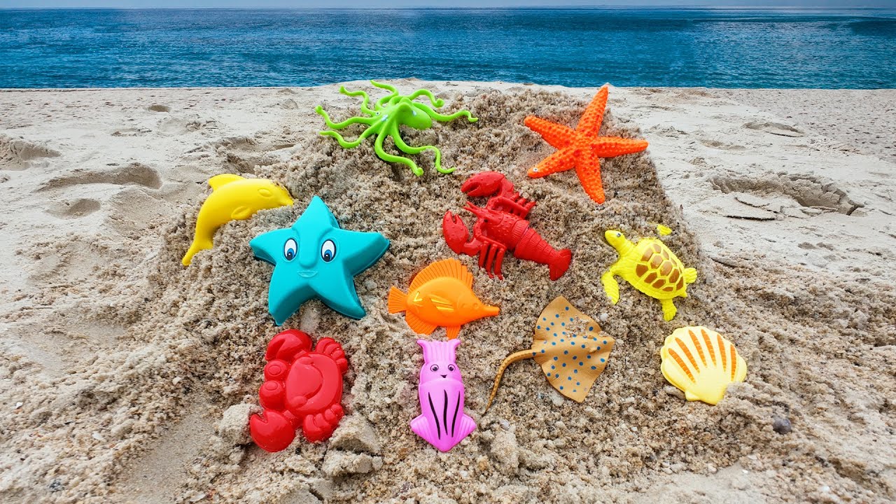 Find animal toys on the beach - Temukan mainan binatang di pantai
