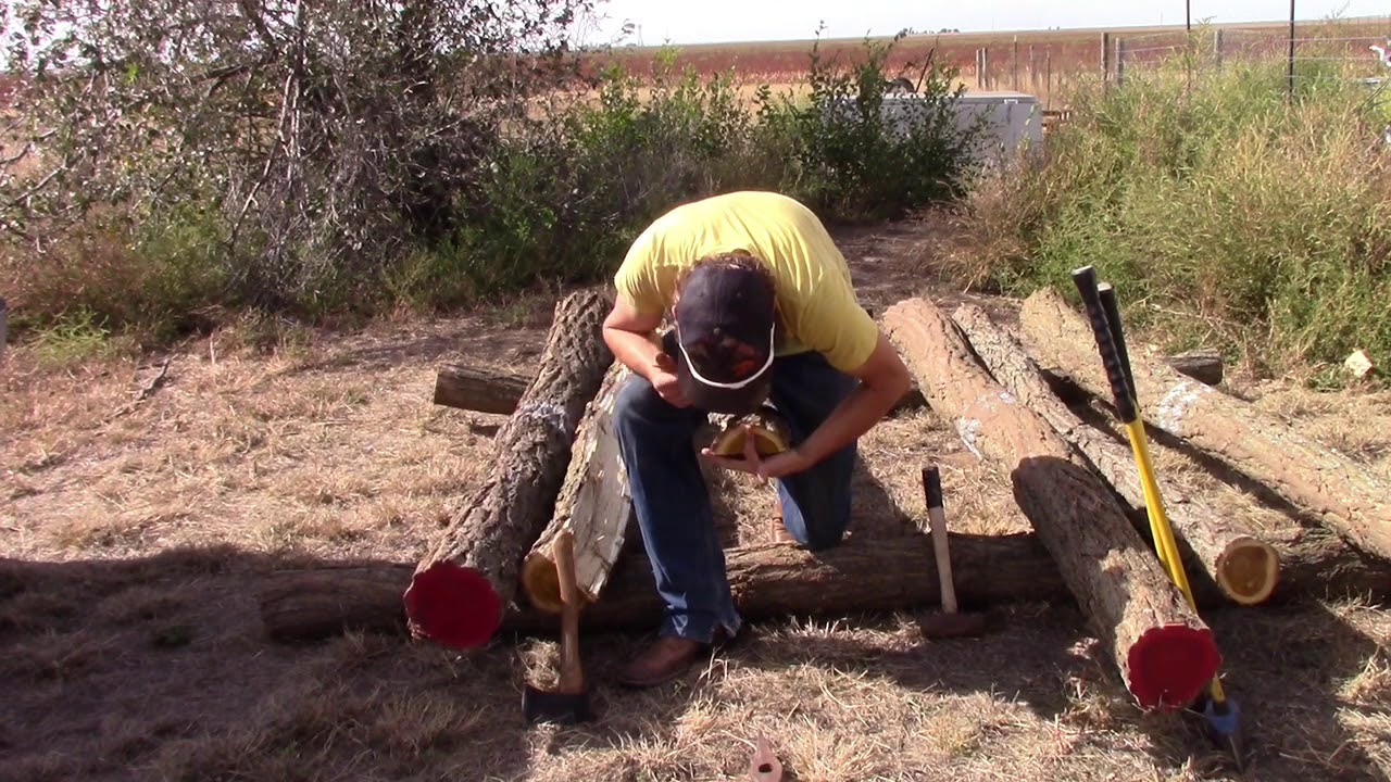 Harvesting Black Locust Bow Staves. Part 3. Splitting out the bow staves.