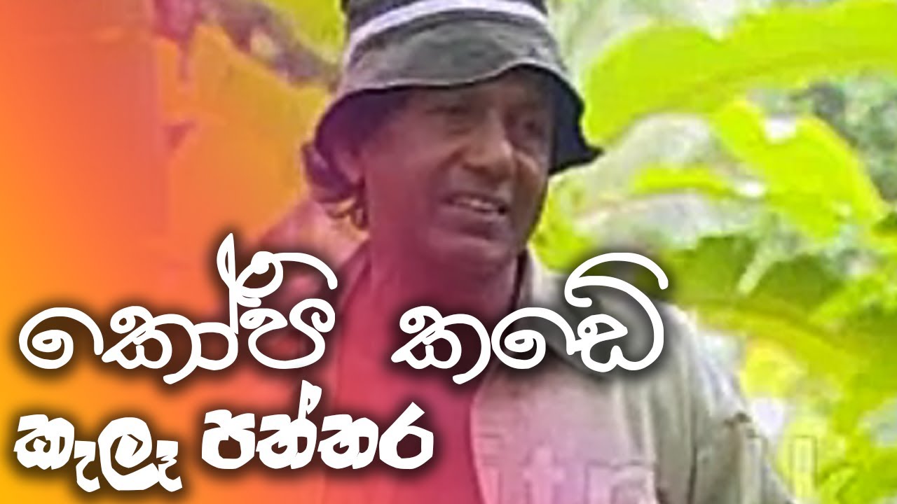 කෝපි කඩේ | kopi kade - කැලෑ පත්තර
