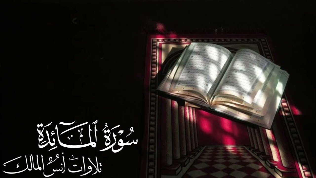 تلاوة سورة المائدة للقارئ أنس المالك من ليالي رمضان لعام ١٤٤٣