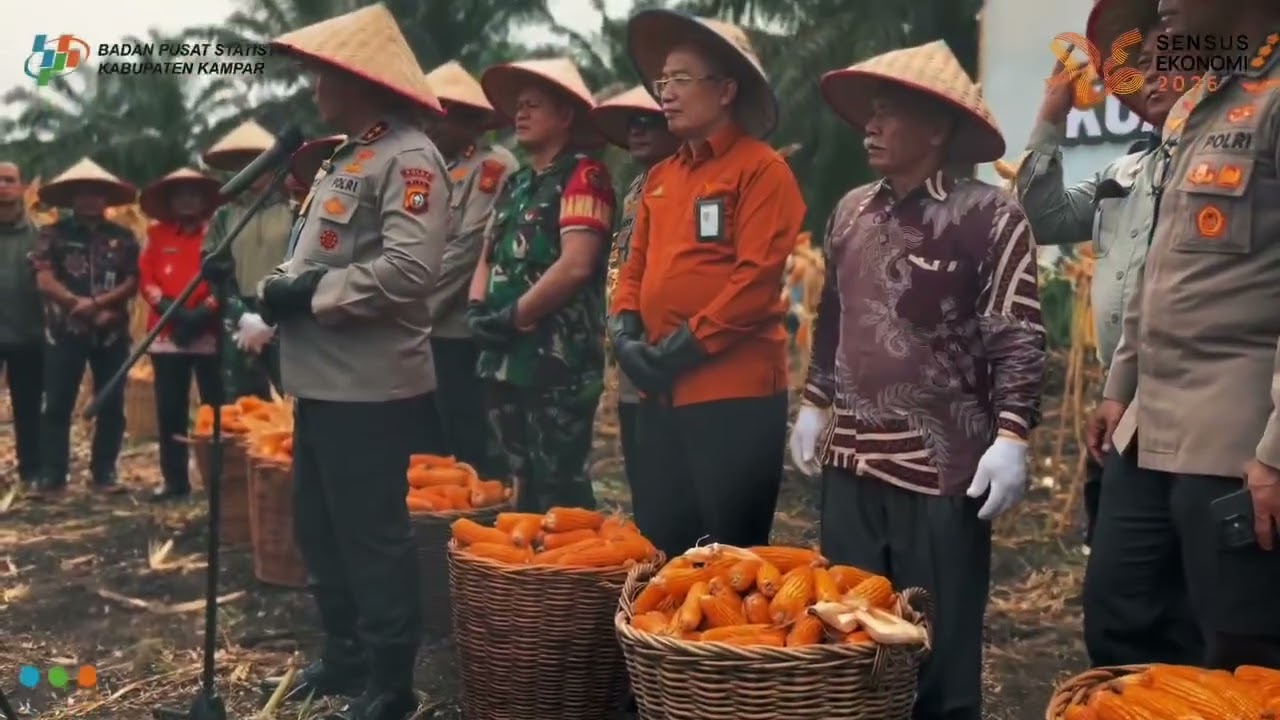 Panen Raya Jagung Serentak, Perkuat Swasembada Pangan Nasional