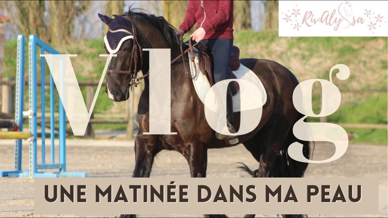 [vlog] 2 PONEYS ▶️ 2 SÉANCES : une journée dans ma peau🌸