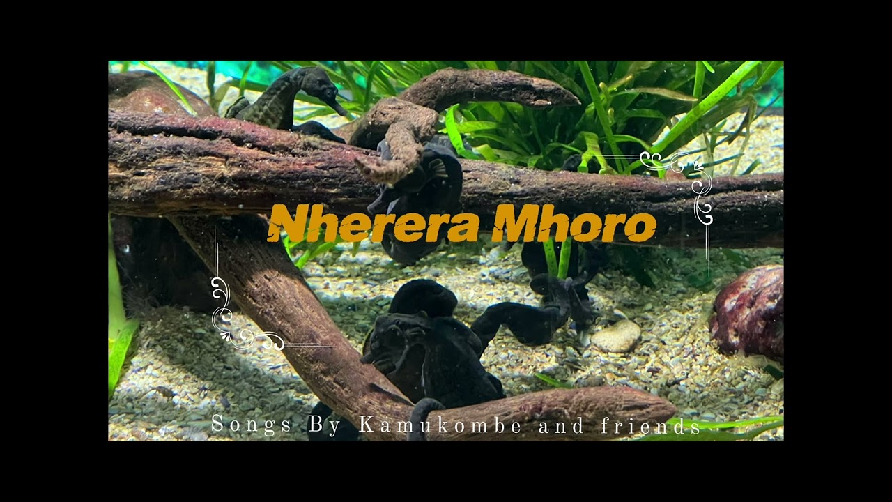 Nherera mhoro