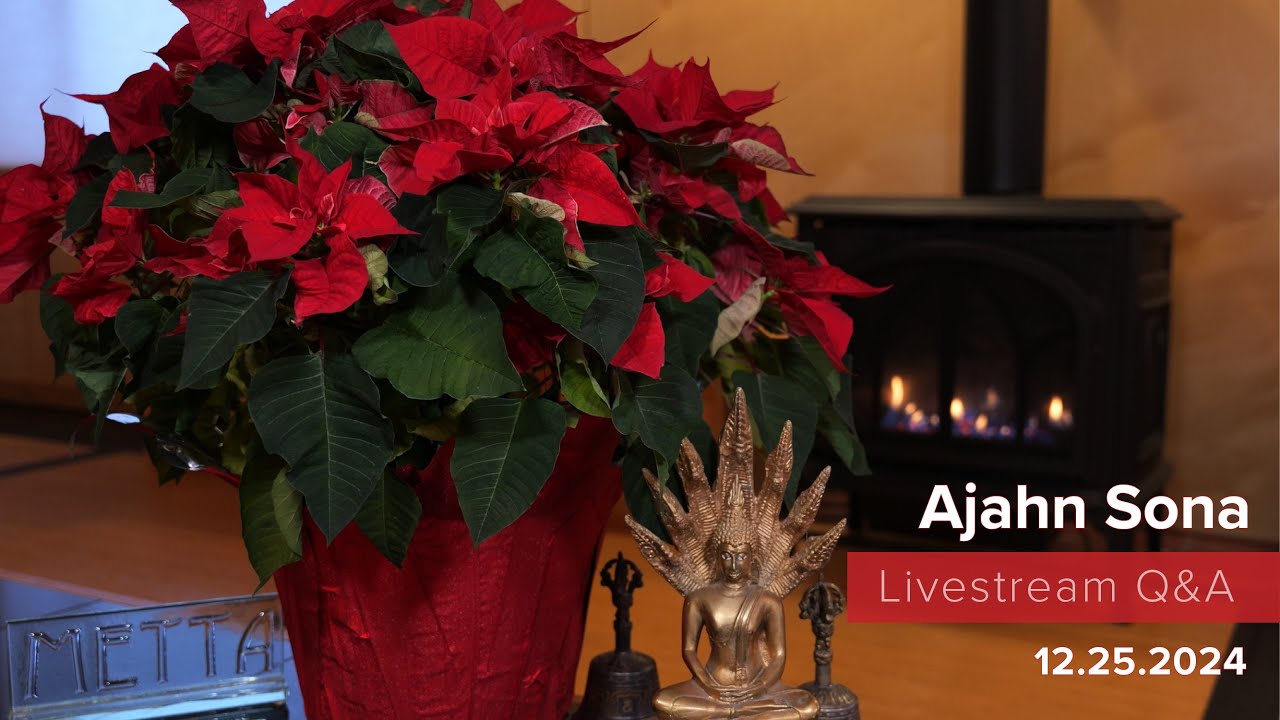 Прямой эфир из Биркена с Аджаном Соной (25.12.2024)