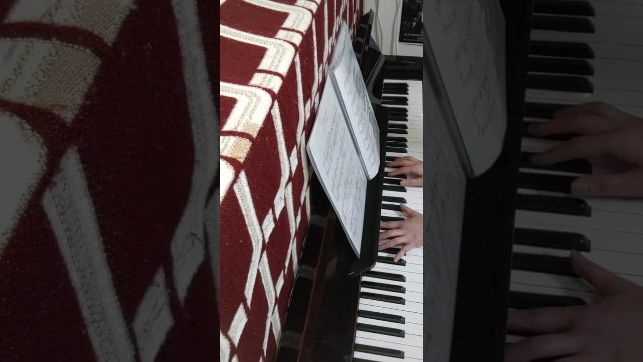 交響曲 第2番 第3楽章 2026 02 13 帰宅後 