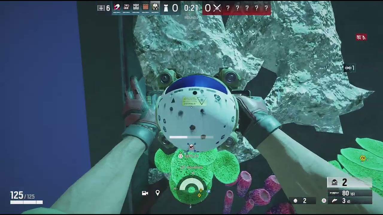 Tom Clancy's Rainbow Six Siege dum mates