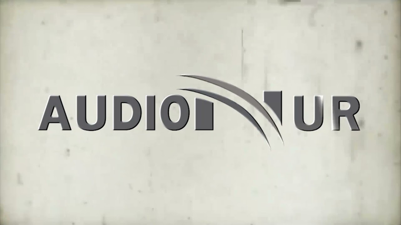 Davudi (alejhi selam) dhe Sulejmani (alejhi selam) - Hoxhë Irfan Salihu