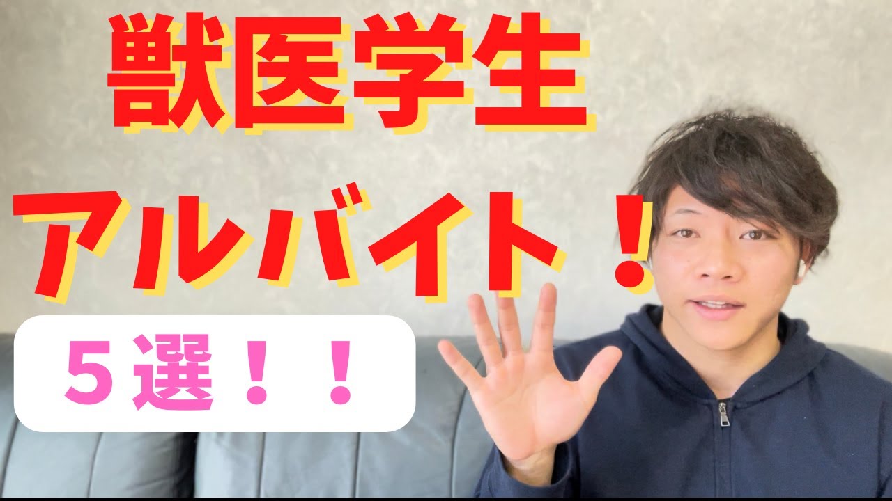 獣医学生のアルバイト事情！おすすめバイト５選とレアバイトを紹介します！
