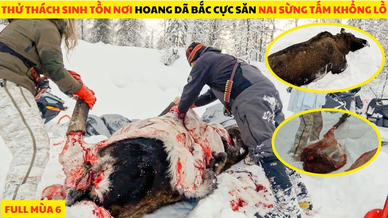 Thử Thách Sinh Tồn 100 Ngày Nơi Hoang Dã Bắc Cực Săn Nai Sừng Tấm Khổng Lồ Full Mùa 6