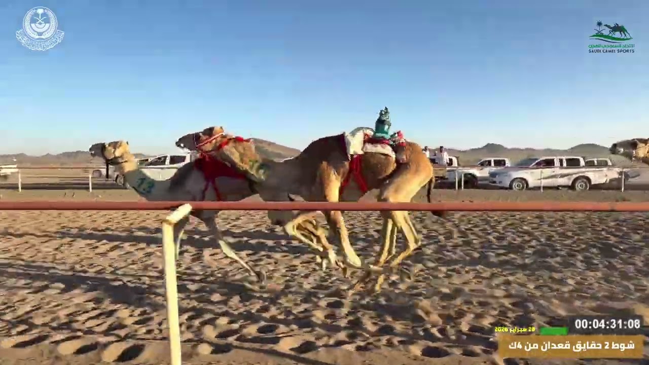 مهرجان ميدان اليتمه لسباق الهجن الاول  الشوط 2 حقايق قعدان  من 4ك الطايف لـ يوسف فهيد الشمري