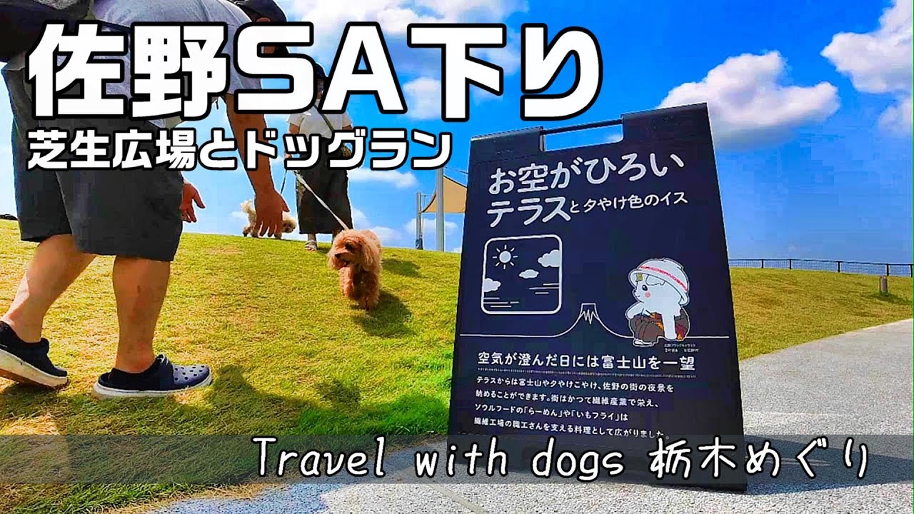 佐野SA下りに新設されたドッグランへ 猛暑で涼を求めて栃木巡り ｜キャンピングカー旅｜佐野SA｜ドッグラン｜いちご日和り｜キャンピングカー｜INUVAN│バンライフ│NV200│