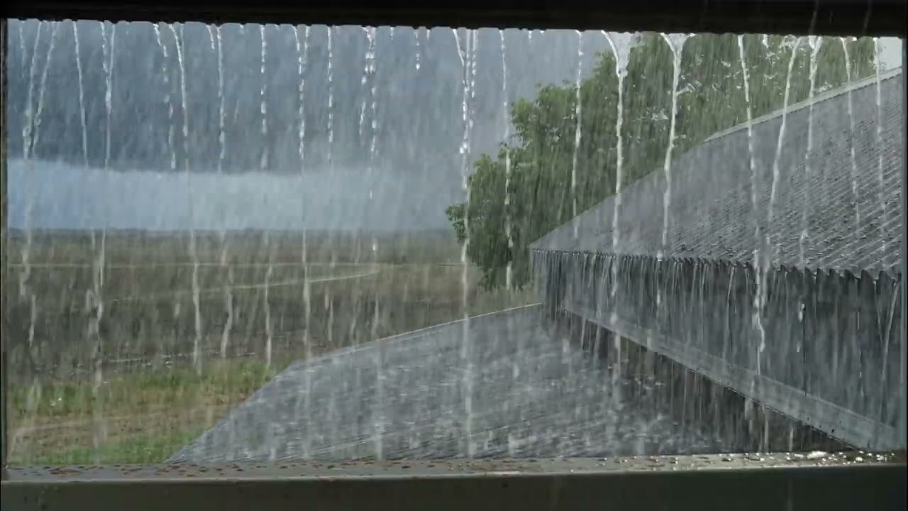Peaceful Rain Sounds for Studying & Focus | No Ads