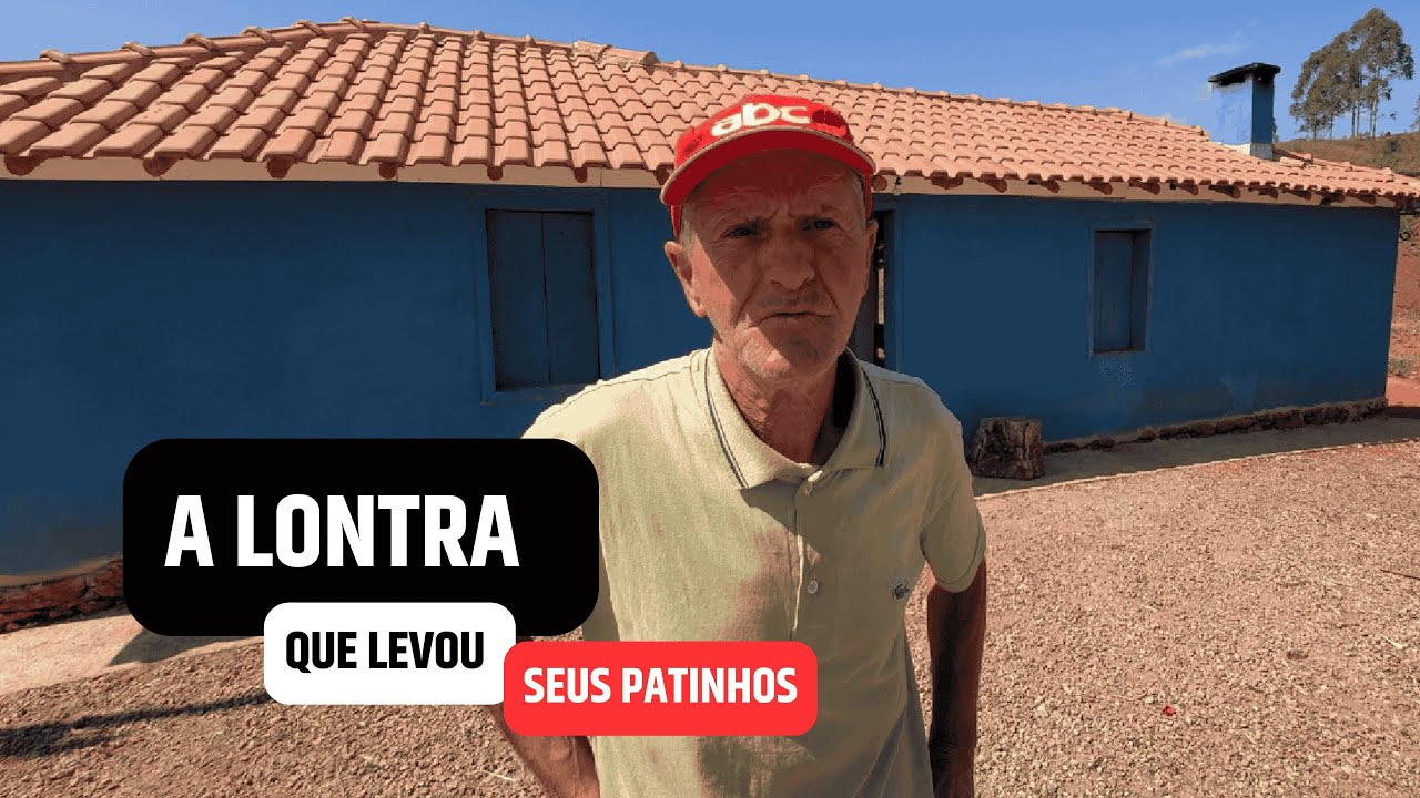 A RIQUEZA DAS COISAS SIMPLES