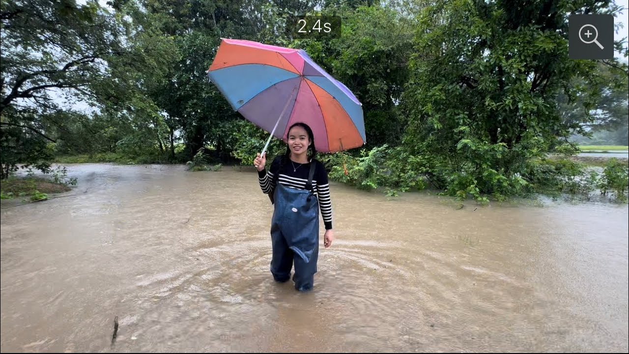 ຝົນຕົກແຮງຫາຈັບປາຕາມທາງນ້ຳໄຫຼ🇱🇦ฝนตกหนักน้ำล้นห้วยหาจับปลาตามทางน้ำไหล
