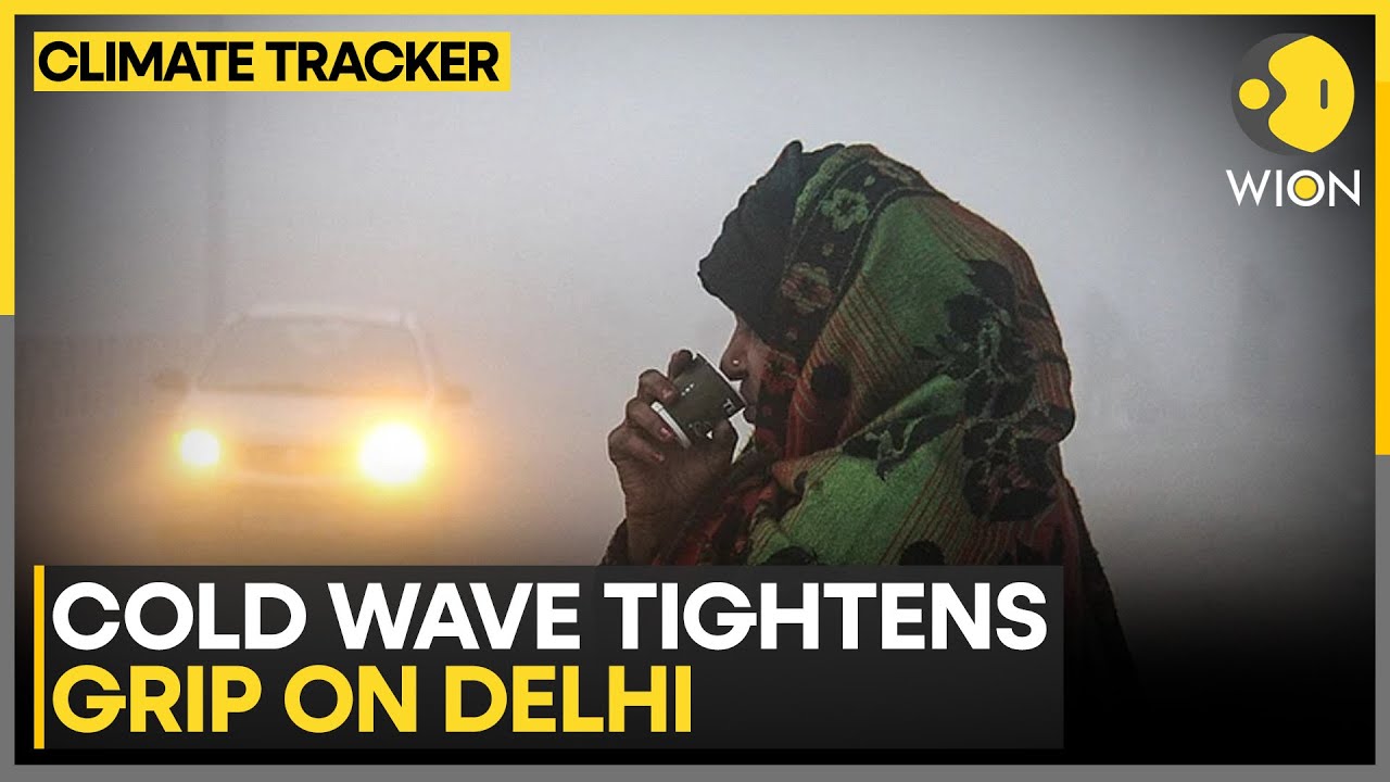 Coldwave Grips Delhi NCR: Mercury Dips to 3&deg;C | WION Climate Tracker