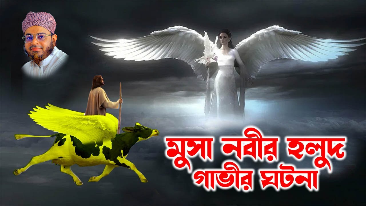 Mufti Nasir Uddin Ansari । মুফতি নাসির উদ্দিন আনসারী । মুসা নবীর হলুদ গাভীর ঘটনা | bd waz