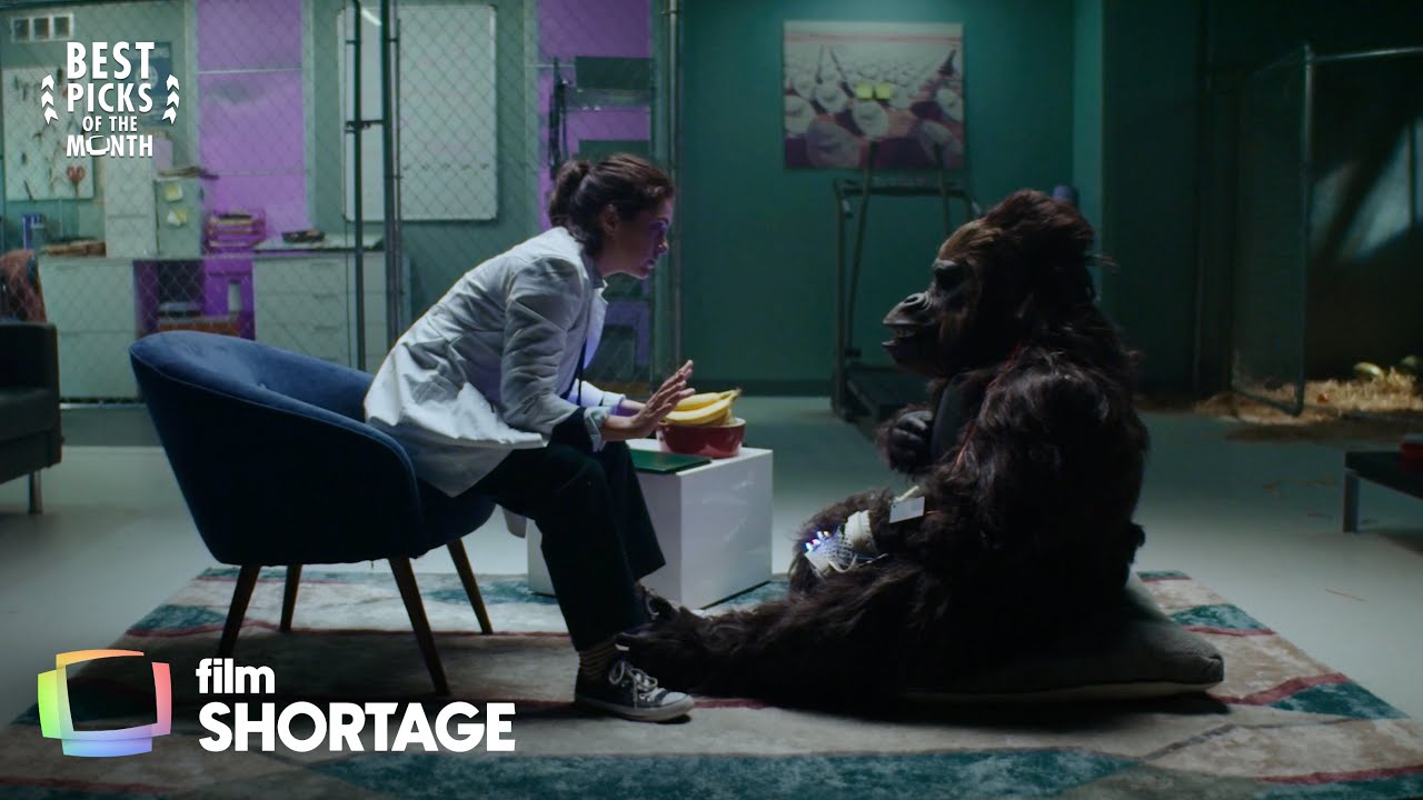 Gorilla Wants Banana | a Comedy / Sci-Fi Short Film
