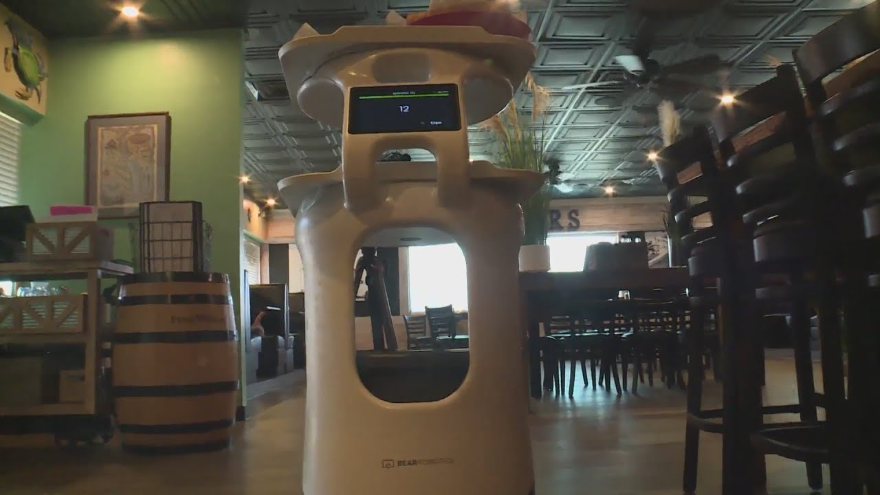 A robot may deliver your food at some Hampton Roads restaurants