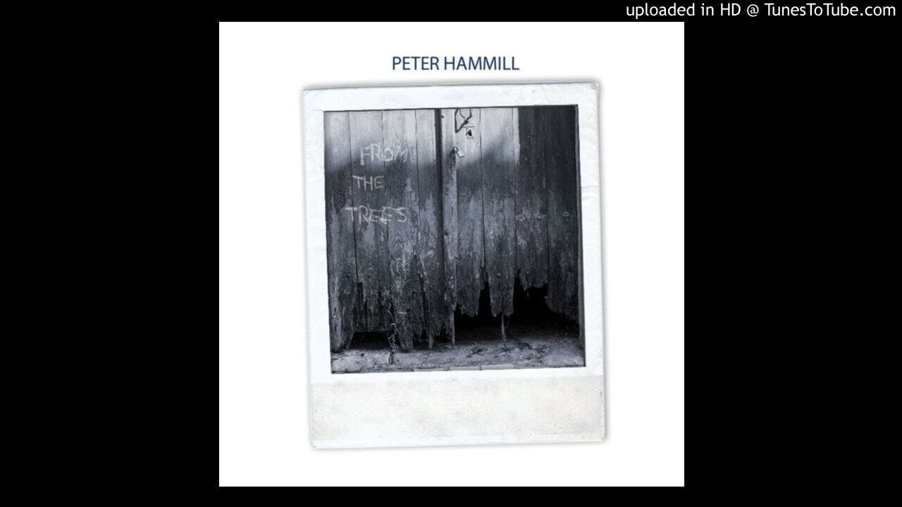 02. Peter Hammill - From The Trees - Torpor
