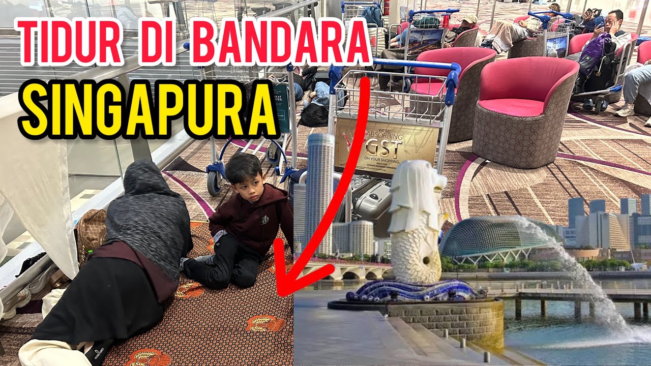 EMANG GAK DI USIR❗️❗️TIPS LIBURAN MURAH DI SINGAPURA CARI MAKAN MURAH DAN  ENAK DI BANDARA CHANGI
