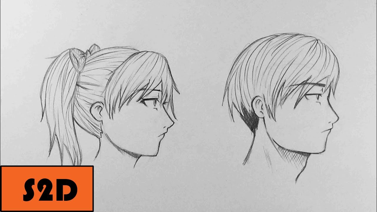 How To Draw a Profile View | Male & Female