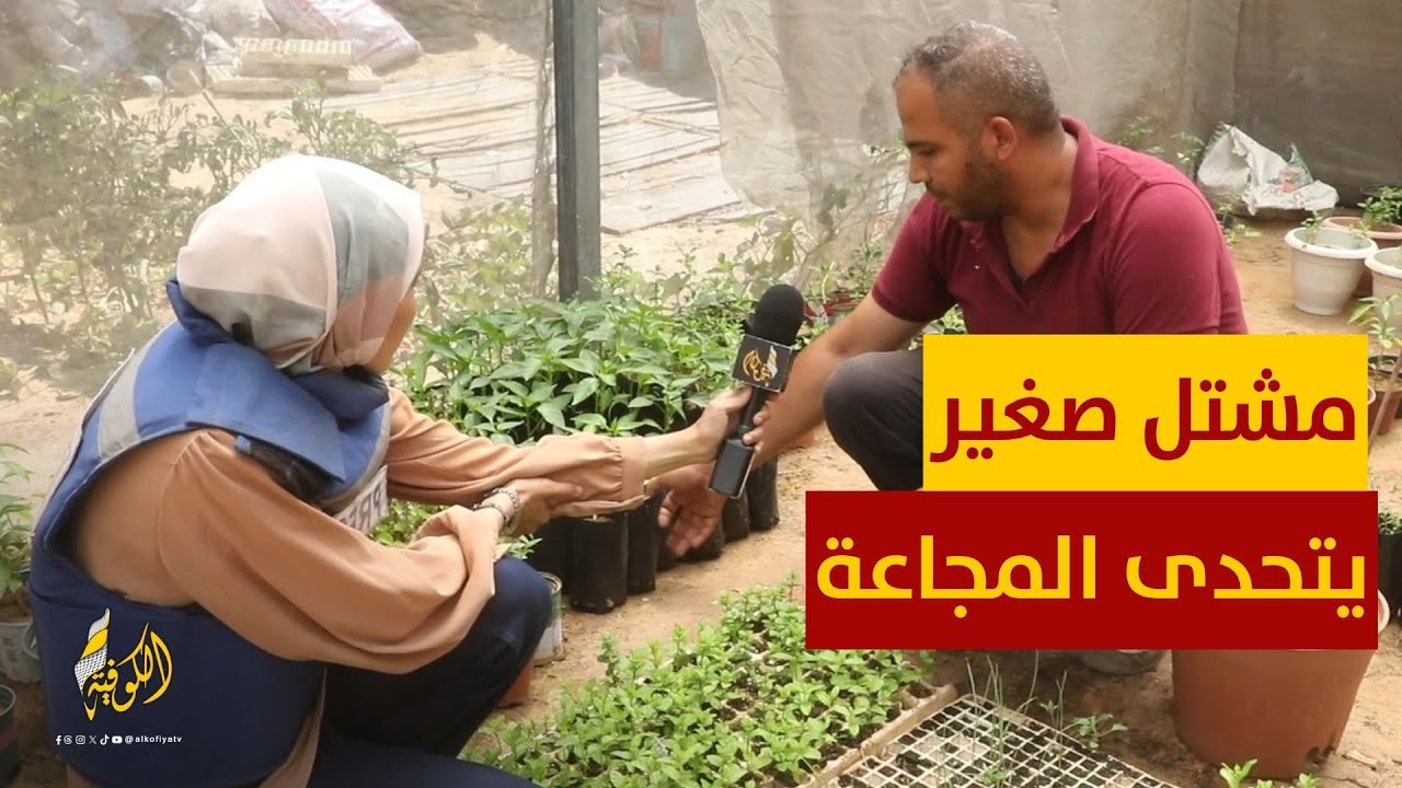 في غزة.. مشتل صغير يتحدى رياح المجاعة والخراب