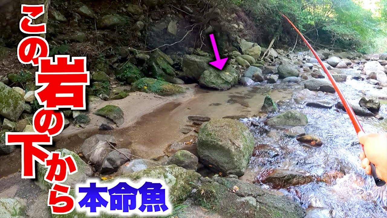 狙った魚が渓流の岩下から次々に飛び出してきた！！