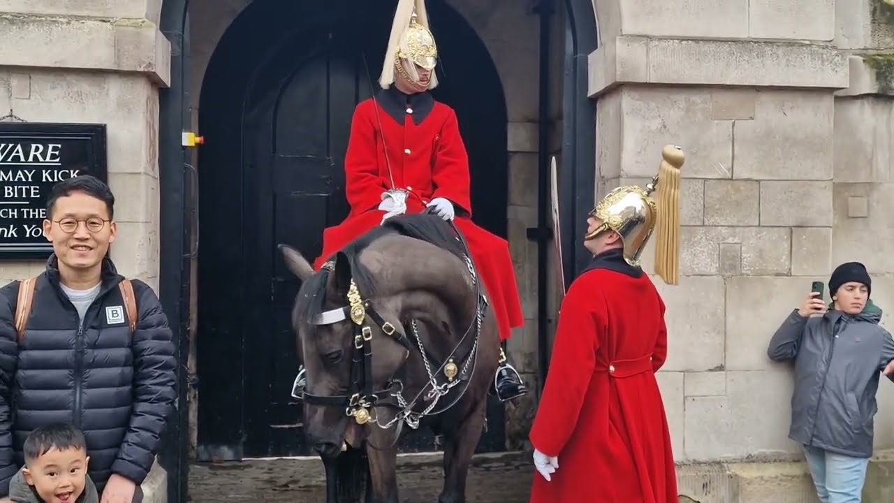 HORSE BITES THE KINGS GUARD (arnie) #horseguardsparade