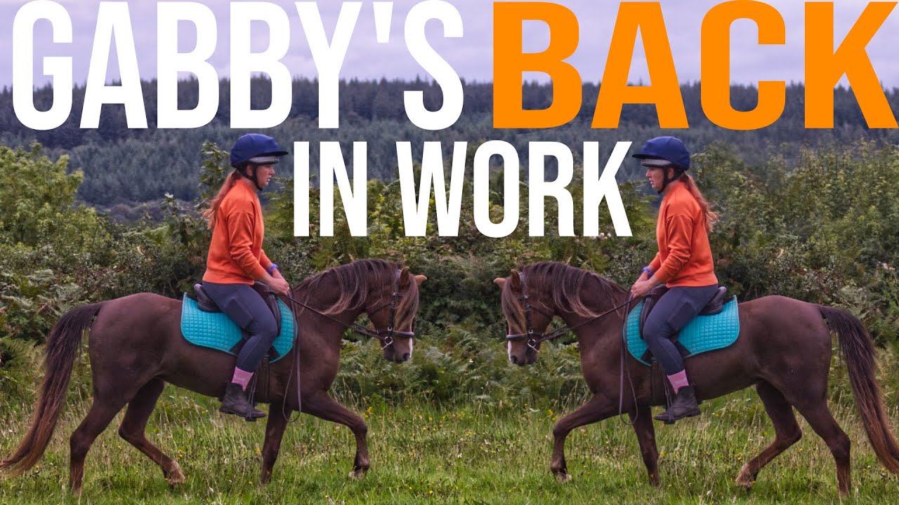 RESTARTING THE OLDER HORSE|| HOW TO BRING A HORSE BACK INTO WORK || MY FAVOURITE SCHOOLING EXERCISES