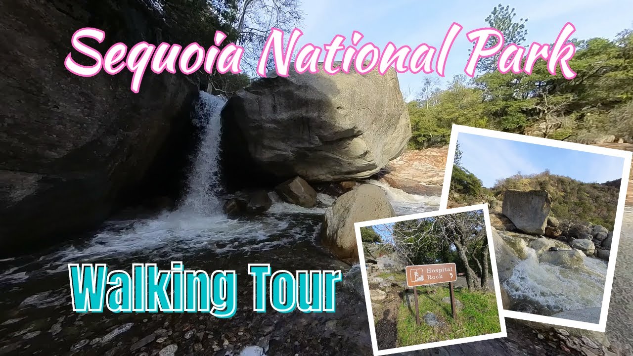Sequoia National Park: The Beautiful Hospital Rock Walking Tour Hiking Trails