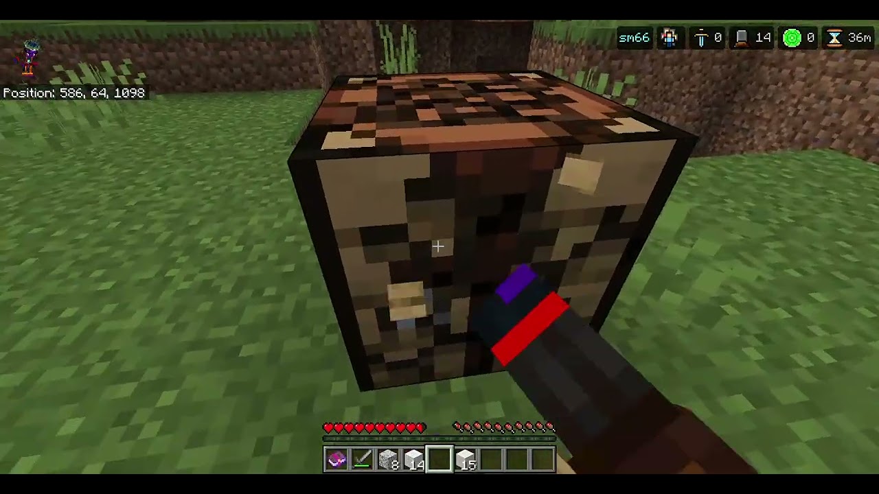 me and my friend on lifeboat survival smp
