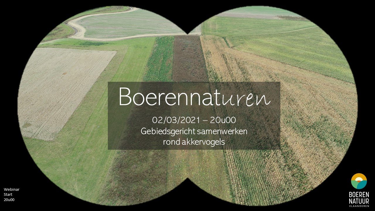Webinar Gebiedsgericht samenwerken voor akkervogels