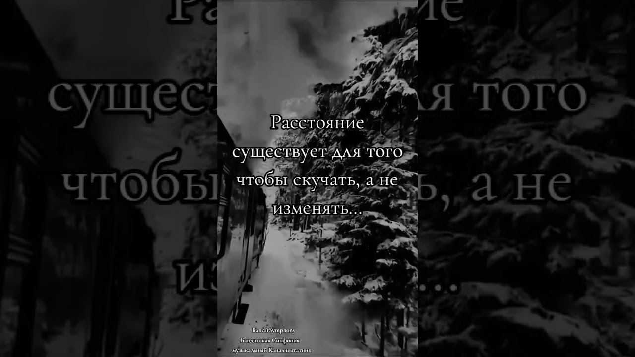 #banditsymphony #musicquotes #musicalinspiration #lyricalquotes #quoteoftheday #musical #цытата
