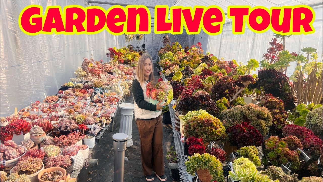 Angel  hara channel is live! Garden Tour