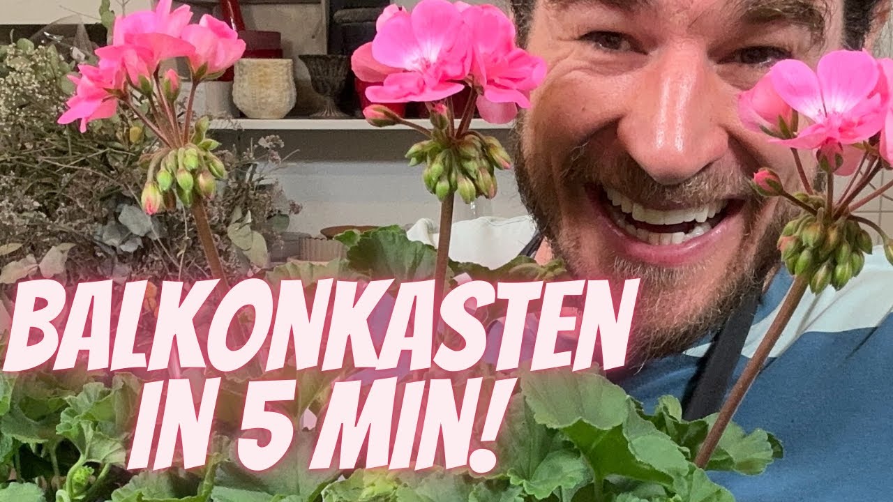 Geranien pflanzen wie ein Profi 🌸 | Balkonkästen richtig bepflanzen Schritt für Schritt