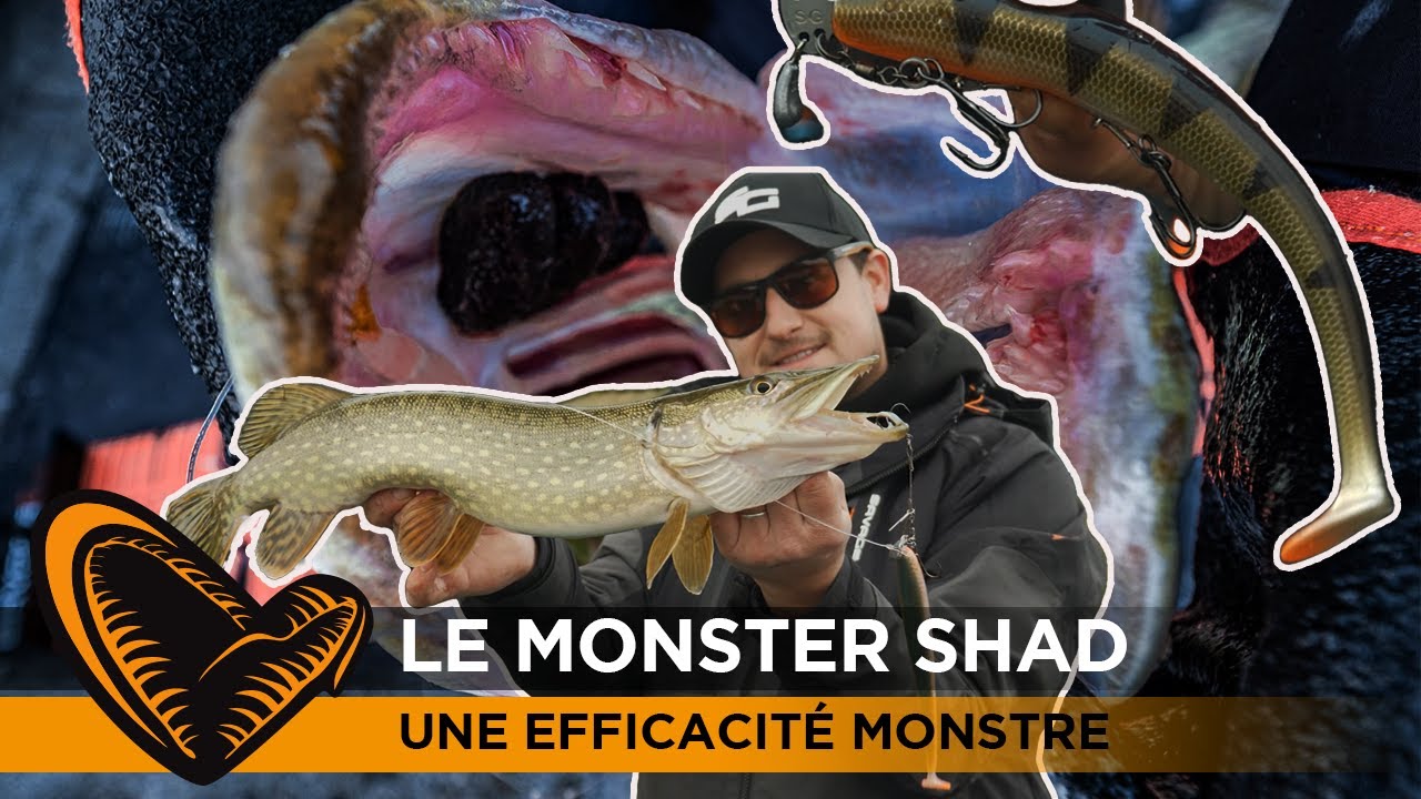 Monster Shad de Savage Gear : une efficacité monstre !