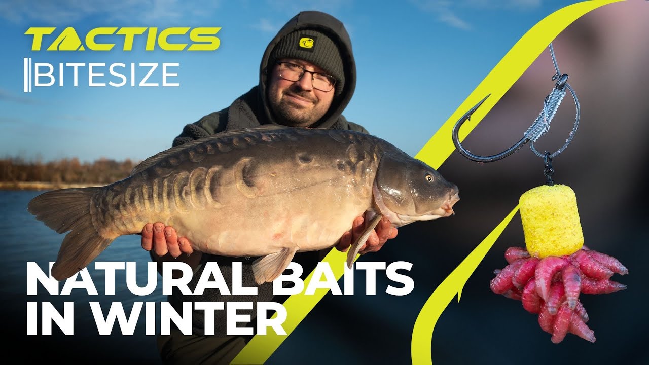 Natural Baits in Winter l Tactics with Loz East l ADH Fisheries l Carp Fishing l S3 E1