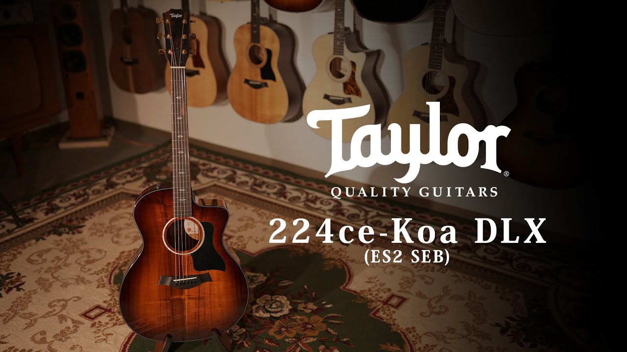 Taylor 224ce-Koa DLX ES2 SEB / MION introduciton