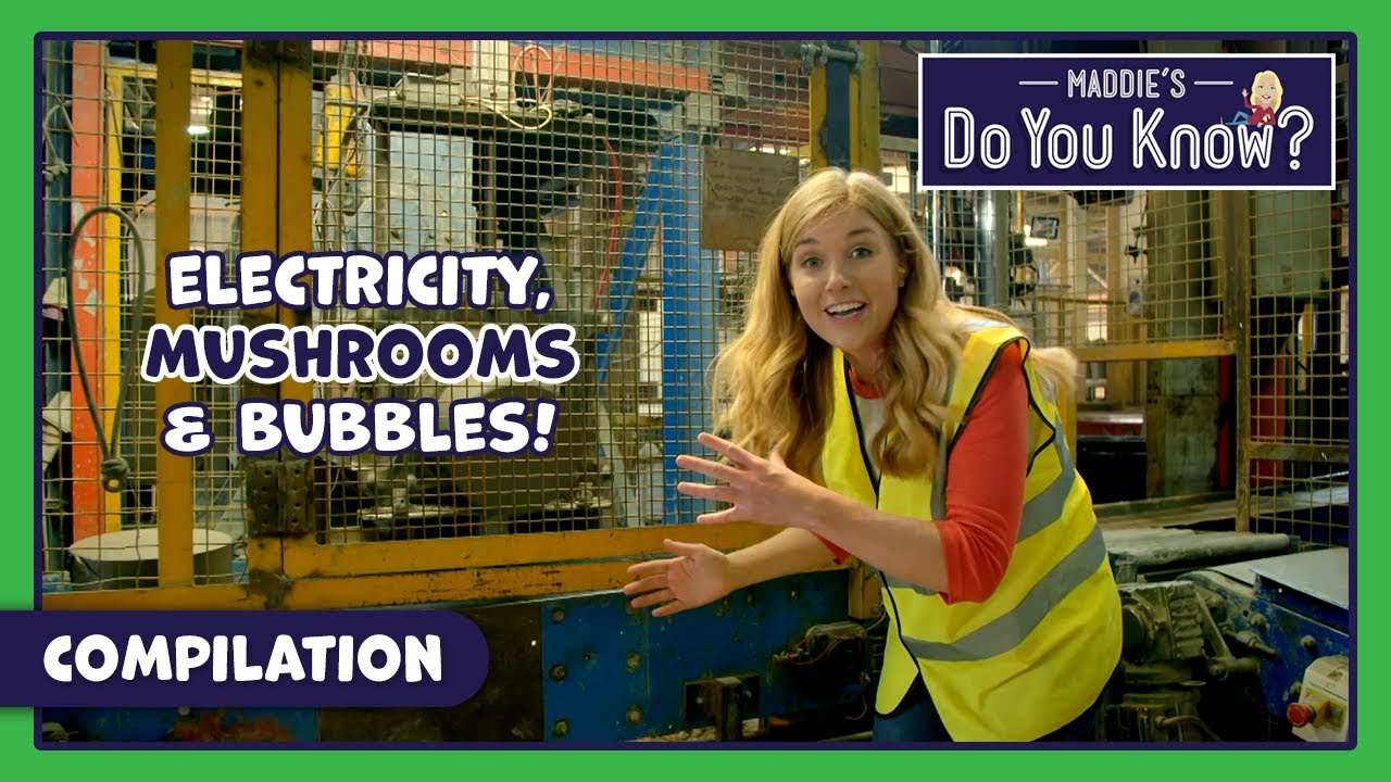 Crazy Science Experiments & Awesome Nature Facts! 🧪 Maddie's Do You Know