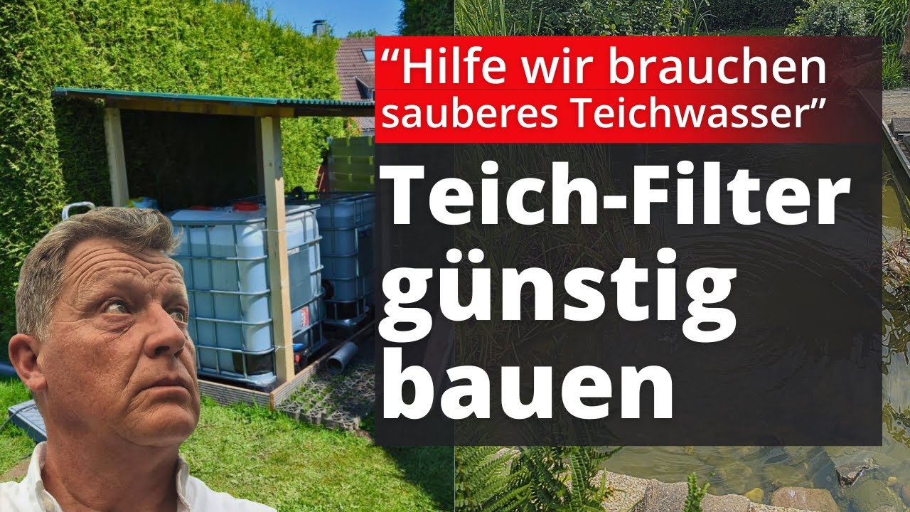 Unglaublich! Dieser einfache Filter-Umbau brachte kristallklares Teichwasser