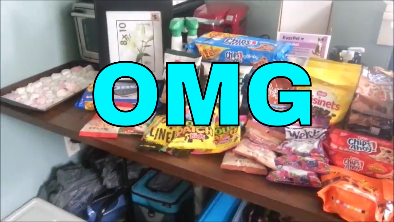 😱Dumpster Diving At Dollar General Ton Of Junk Food Finds😱