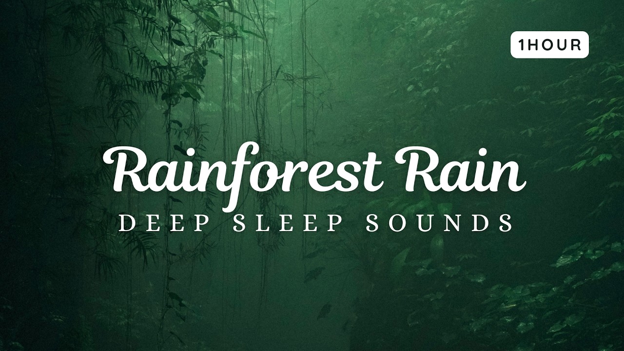 Rainforest Rain Sounds 🌧️ 1 Hour Deep Sleep & Relaxation Ambience