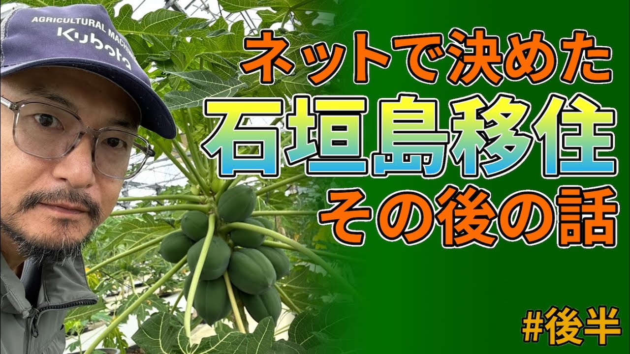 借入1,700万円の裏側。石垣島で農業をやるリスクと本音【パパイヤ農家への道・後半】