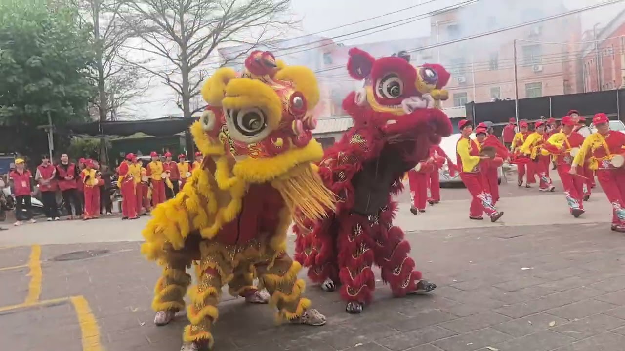闽南人对咚咚锵的热爱❤️❤️❤️