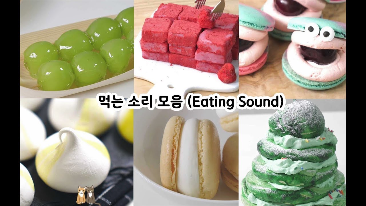먹는 소리 모음 5탄! 🙌 (Eating Sound) 이팅사운드 | 한세 HANSE