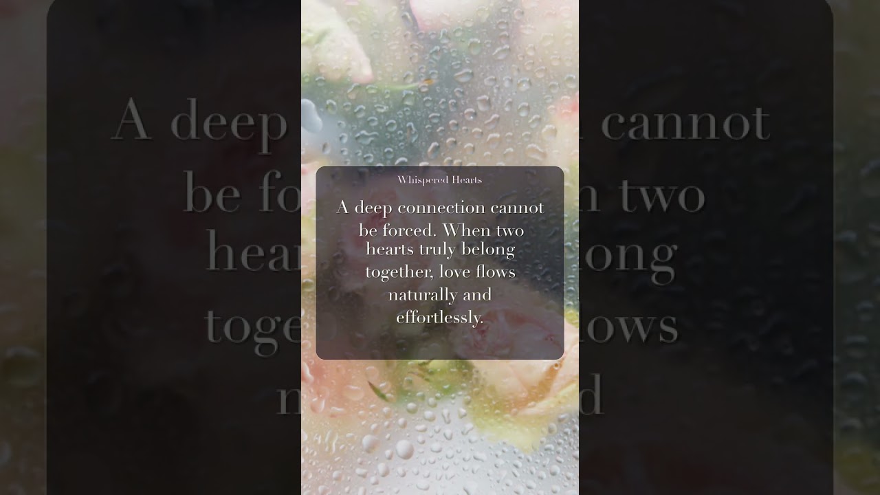 Whispered Hearts | A deep connection cannot be forced.