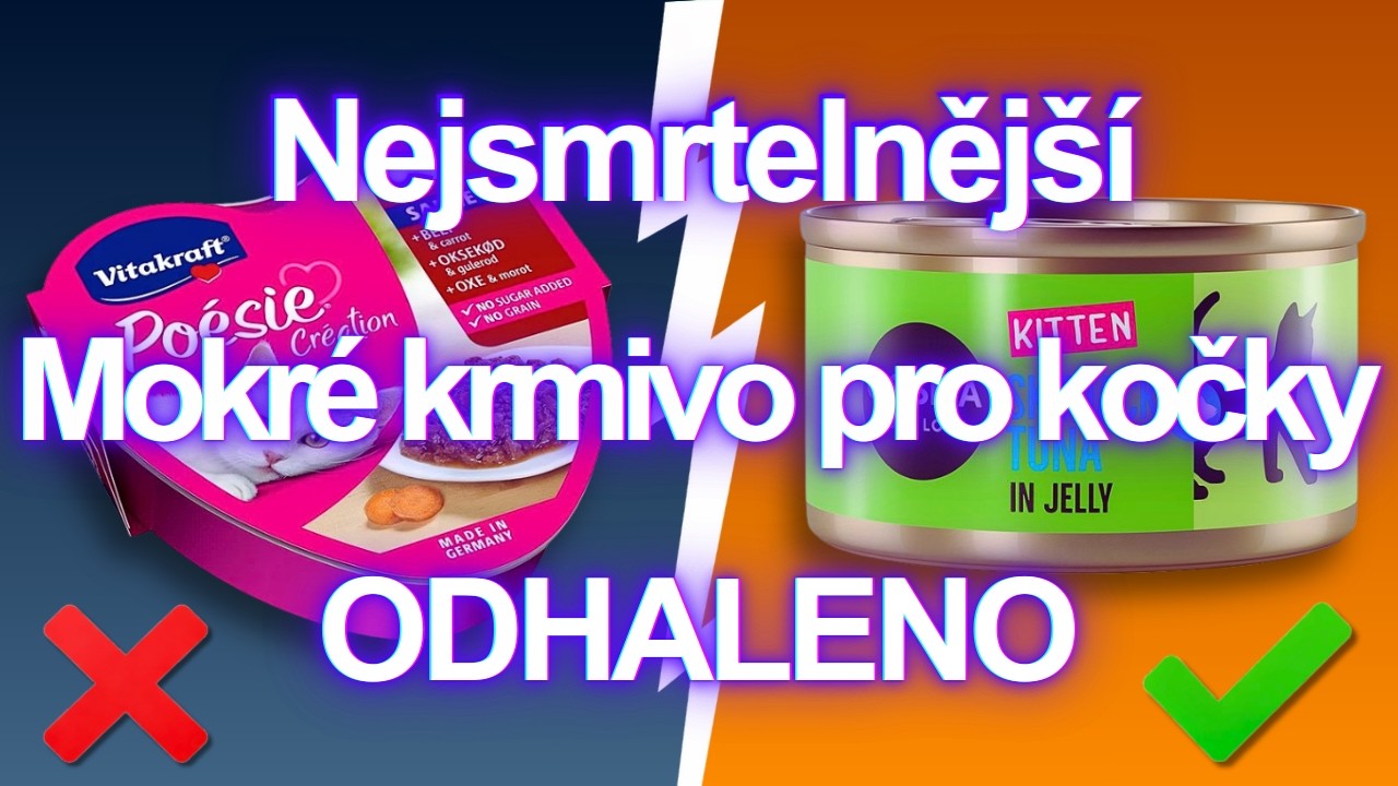 10 mokrých krmiv pro kočky, kterým se VYHNOUT ZA KAŽDOU CENU (a pár BEZPEČNÝCH)