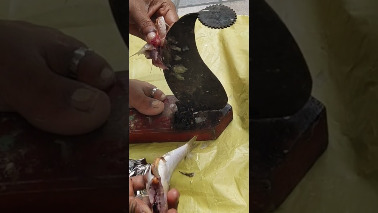 Nagara meen cleaning #shorts #shortsfeed #subscribe #ontrending #viral
