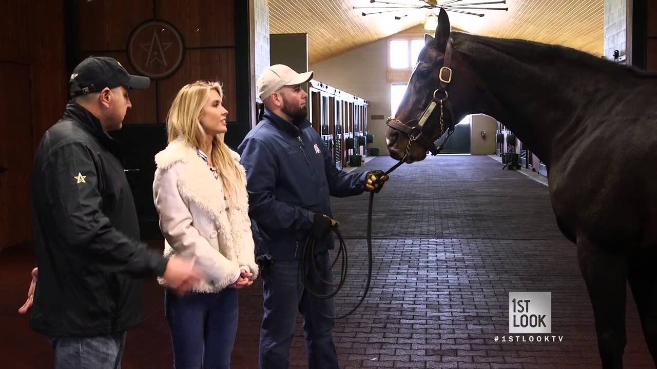 Meet a Special Yearling at Winstar Farms